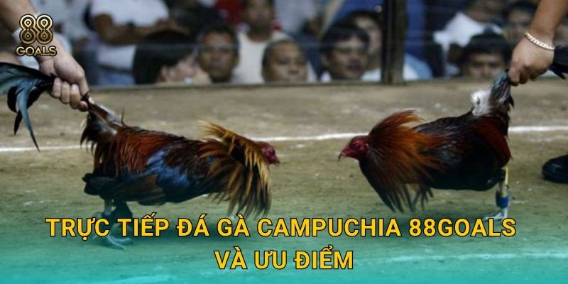 Trực tiếp đá gà Campuchia 88goals và ưu điểm