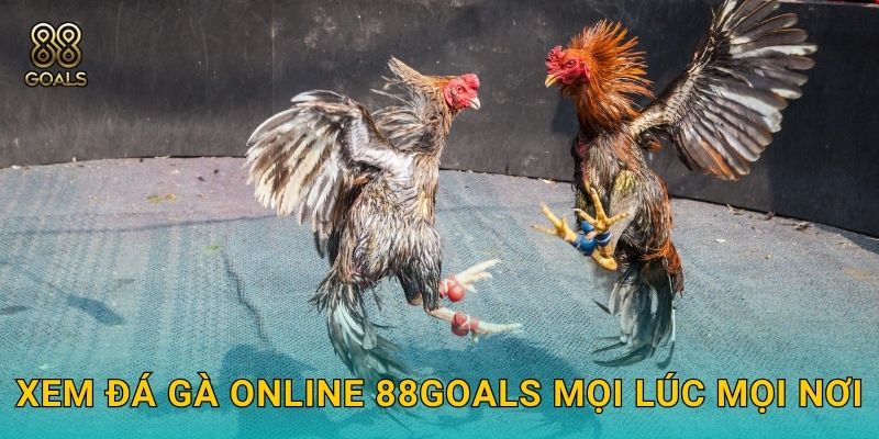 Xem đá gà online 88goals mọi lúc mọi nơi
