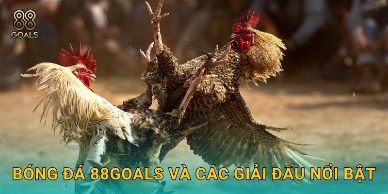 Bóng đá – Cược đỉnh cao cùng tỉ lệ hấp dẫn tại 88goals 2 Bóng đá 88goals và các giải đấu nổi bật