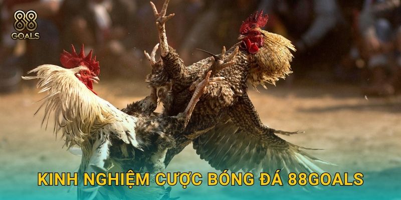 Bóng đá – Cược đỉnh cao cùng tỉ lệ hấp dẫn tại 88goals 3 Kinh nghiệm cược bóng đá 88goals